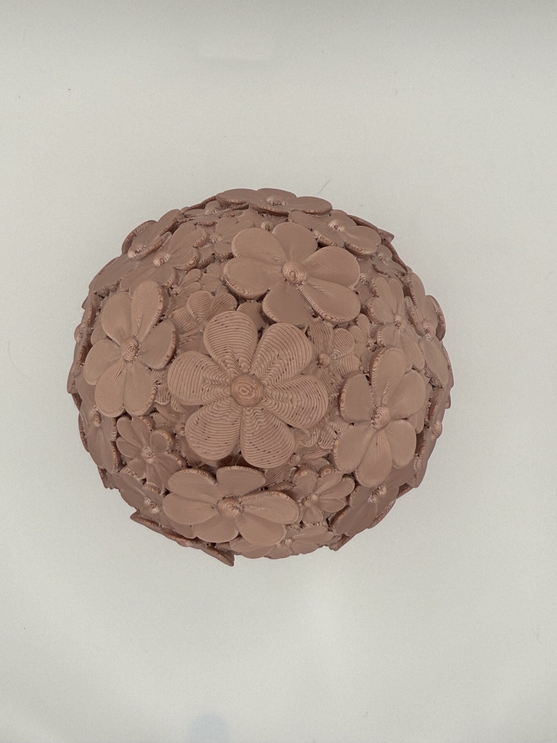 Daisy Bloom - Container - Image 3