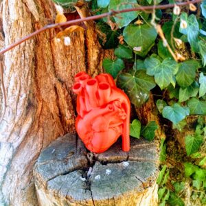 Cœur anatomique décoratif Sculpture artistique