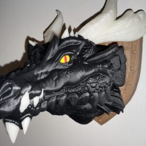 Dragon Trophy